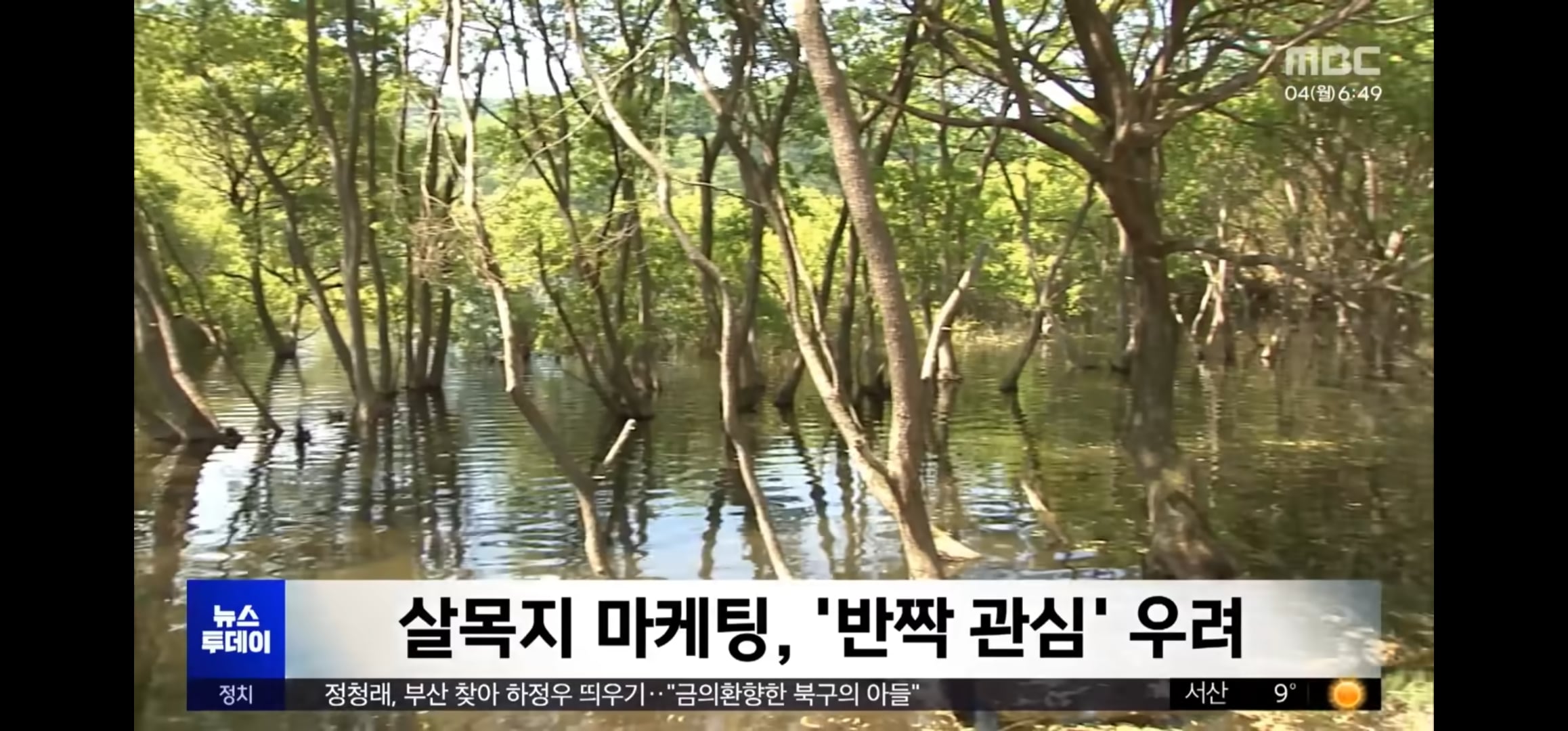 [잡담] 살목지 국가생태탐방로 된거 개웃기네ㅋㅋㅋㅋㅋㅋ | 인스티즈