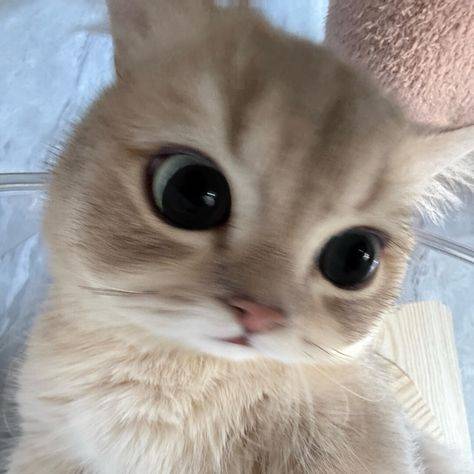 [잡담] 야장 가고싶다 야장~!~!~!~! | 인스티즈