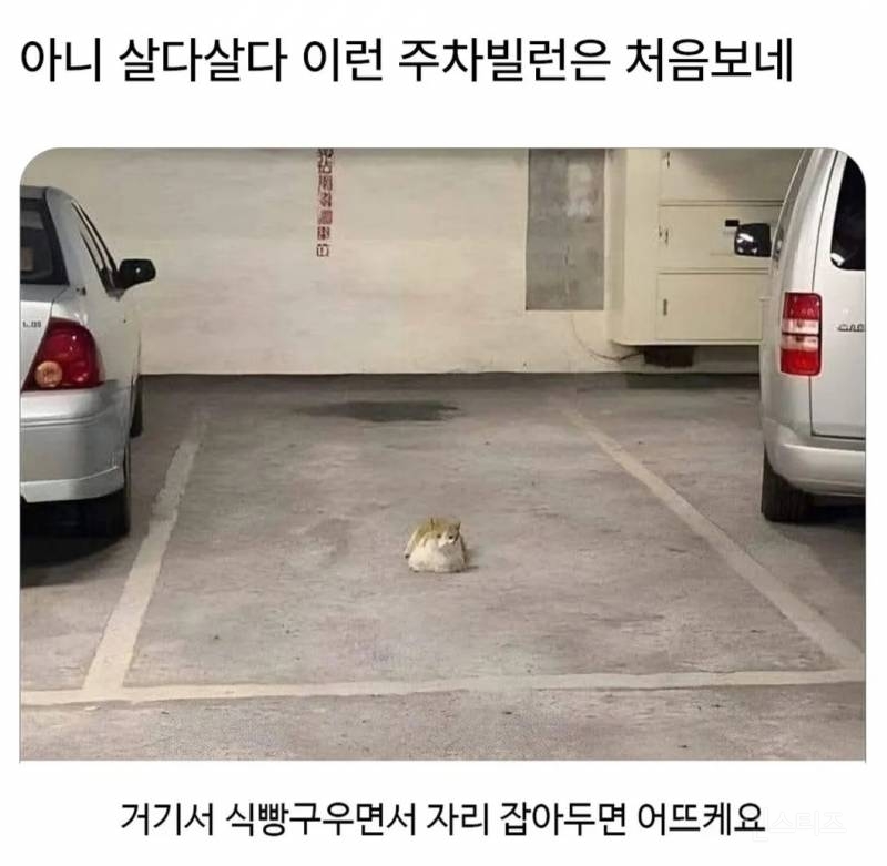 아니 살다살다 이런 주차빌런은 처음보네.jpg | 인스티즈