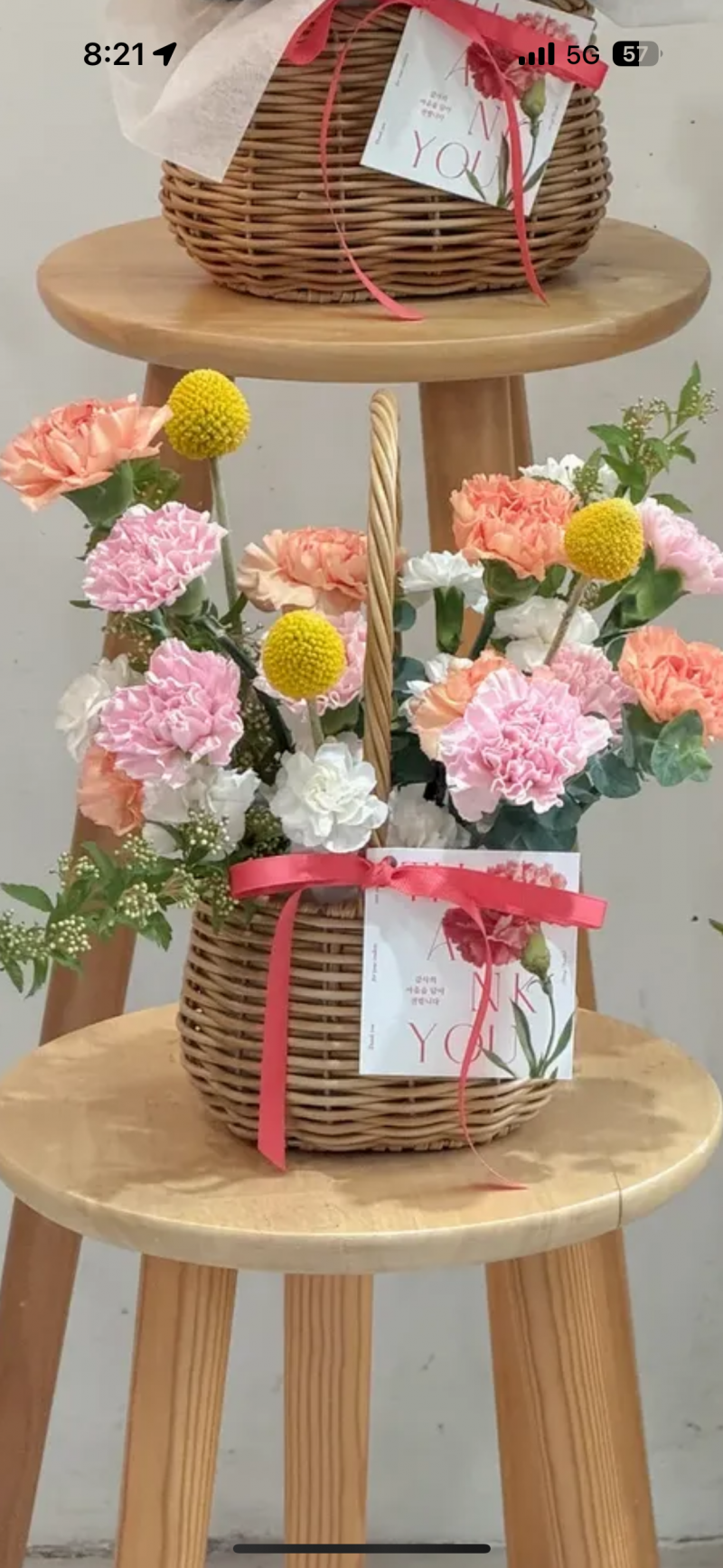[잡담] 꽃 뭐가 더 풍성해보여? | 인스티즈