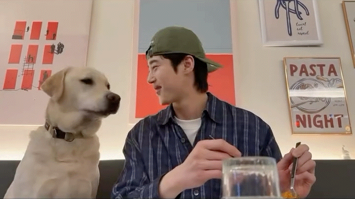 변우석) 강아지랑 하품하는거 | 인스티즈