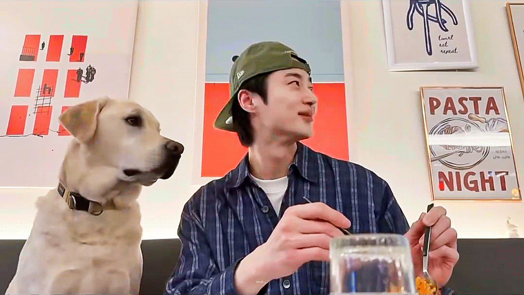 [잡담] 변우석) 댕댕이×댕댕이 짤 | 인스티즈