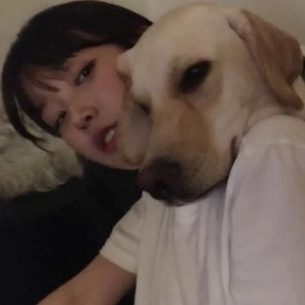 [잡담] 대군부인) 완성이들 남친짤🐶 여친짤🐶 | 인스티즈