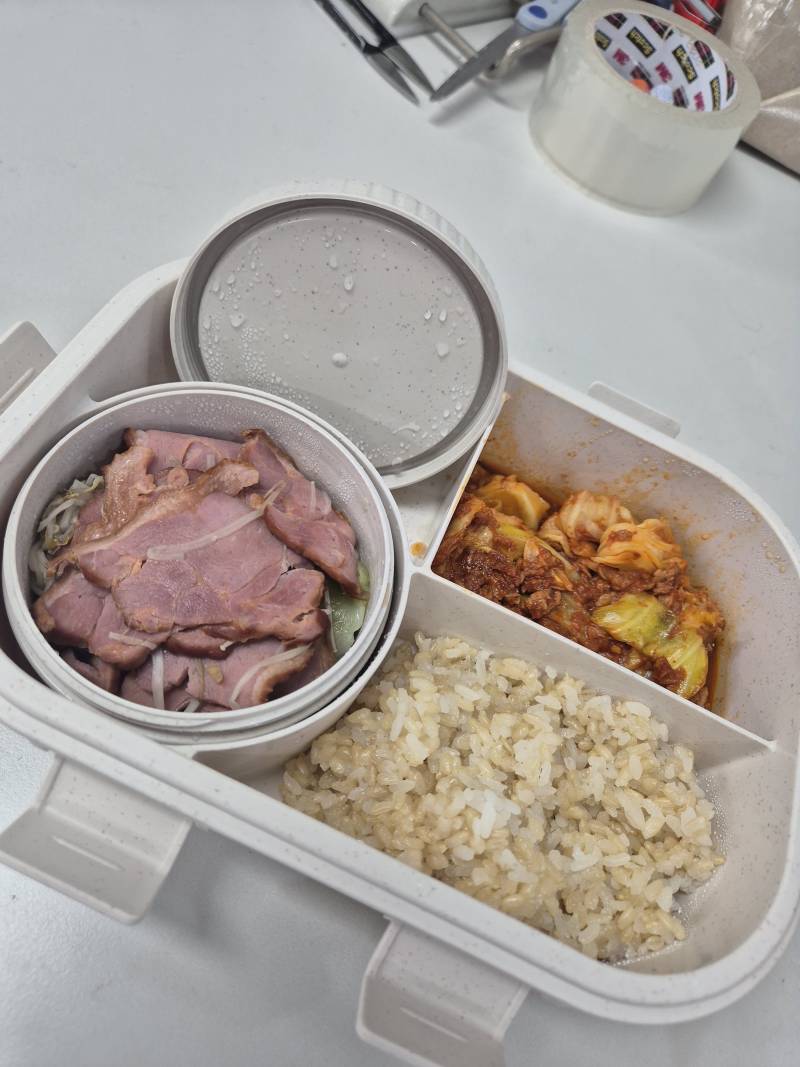 [잡담] 다이어트 점심 도시락으로 헤비하다 vs괜찮다 | 인스티즈