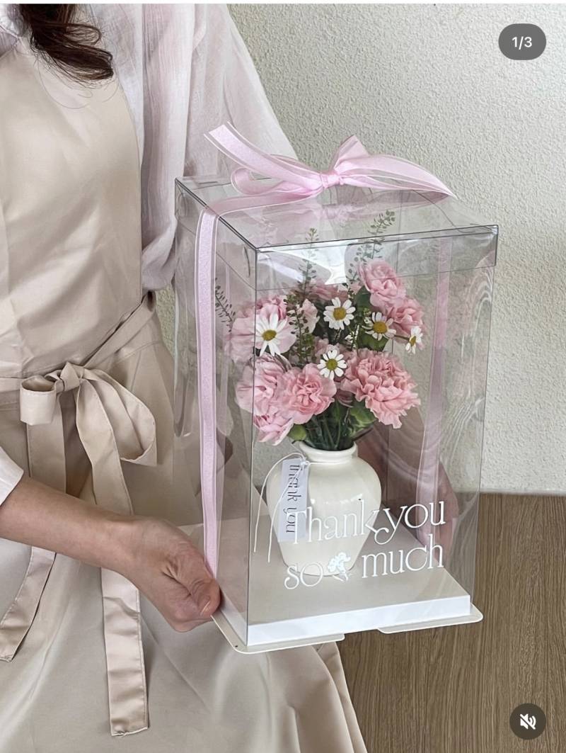 [잡담] 익들아 도움!!! 카네이샨 예약하려는데 뭐가 나아??? | 인스티즈