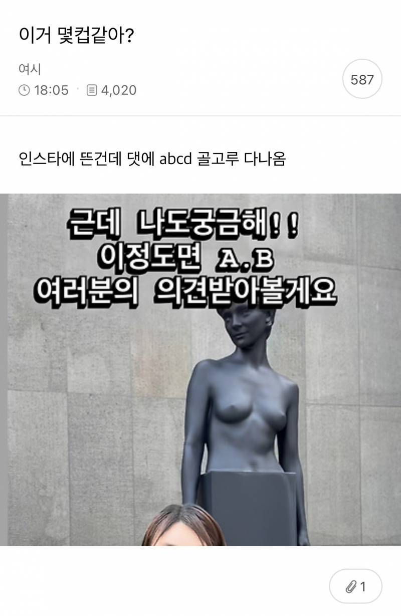 [잡담] 나 구라 안 치고 이 사진이랑 가슴 똑같은데 | 인스티즈