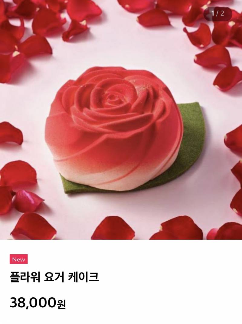 [잡담] 어버이날 케이크 투썸에서 사려고 하는데 뭐가 나을까 골라줘!!! | 인스티즈