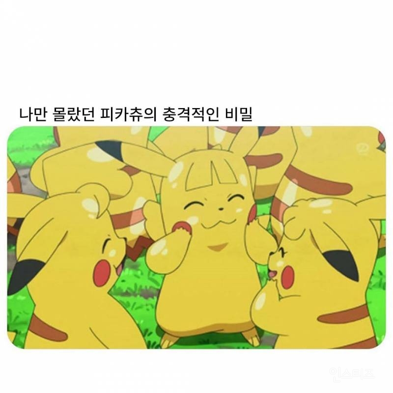 피카츄의 비밀 ㄷㄷ | 인스티즈