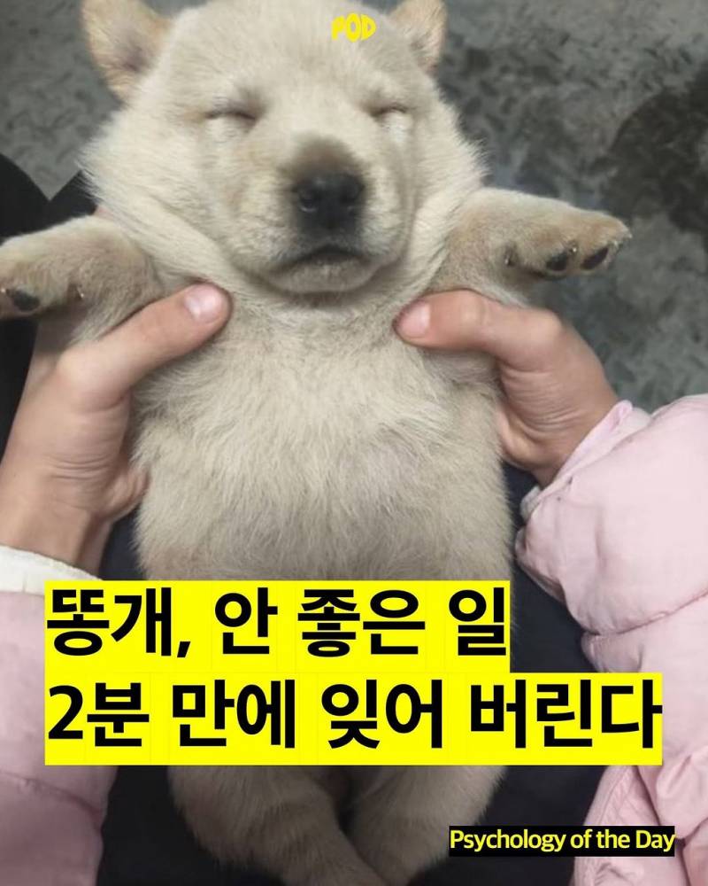 [잡담] 이거 순이같아 | 인스티즈