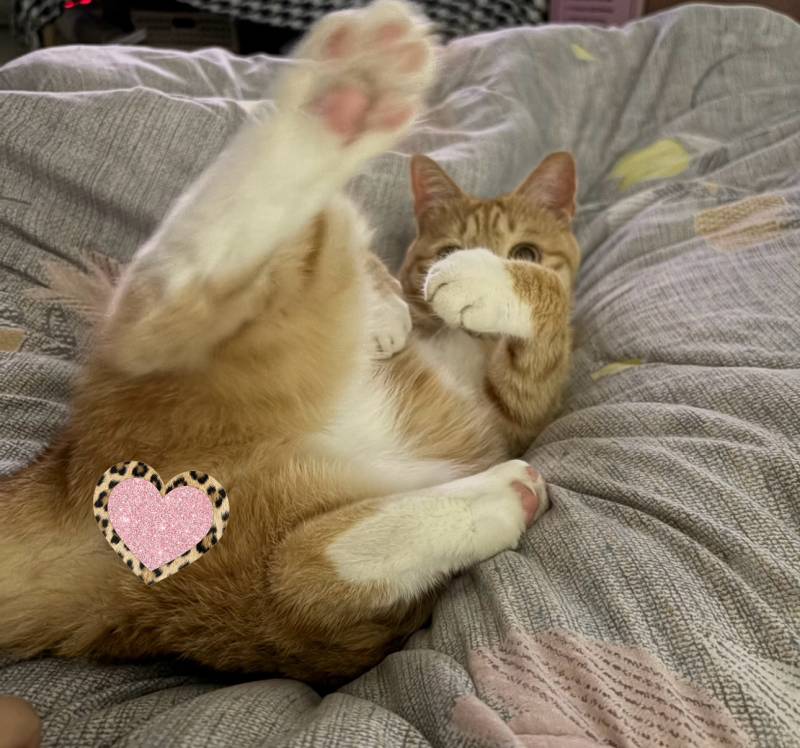 [잡담] 오늘 당신들의 하루를 책임지러 왔습니다 | 인스티즈