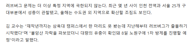 [잡담] 올해도 러브버그 창궐 예정....ㄷㄷㄷㄷ 싫어....ㅠㅠㅠㅠㅠ | 인스티즈