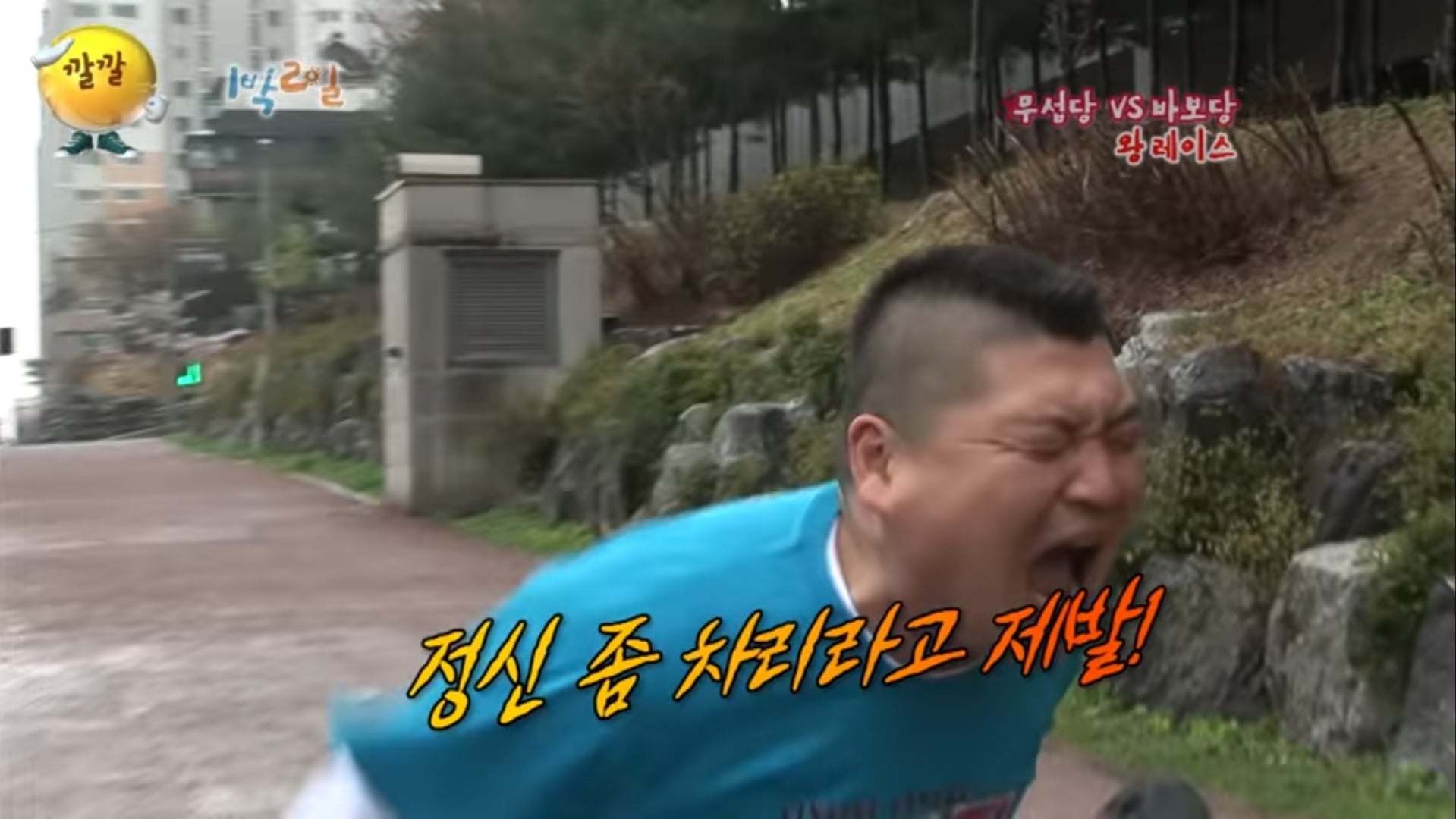 [마플] 에휴...이제 버블 일주일 미출석은 기본이네 | 인스티즈