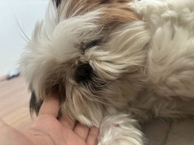 [잡담] 며칠 안씻은거 같아..? | 인스티즈