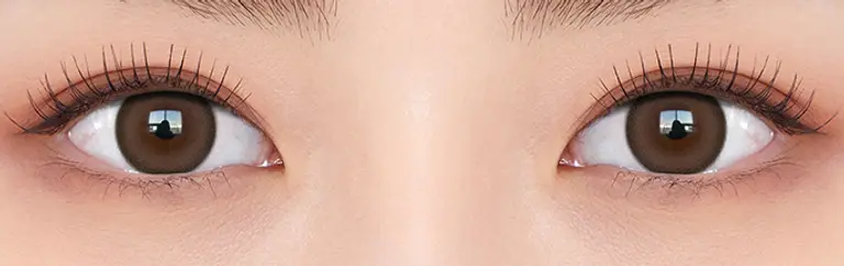 [잡담] 익들아 증명사진 찍을건데 렌즈 골라주라 | 인스티즈