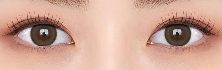 [잡담] 익들아 증명사진 찍을건데 렌즈 골라주라 | 인스티즈