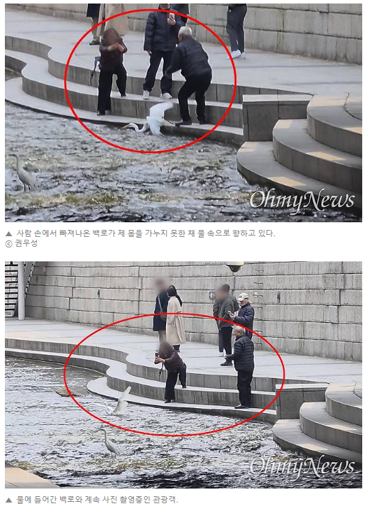 [마플] 중국인 관광객들 청계천에서 이런짓도 했었구나ㄷㄷ | 인스티즈