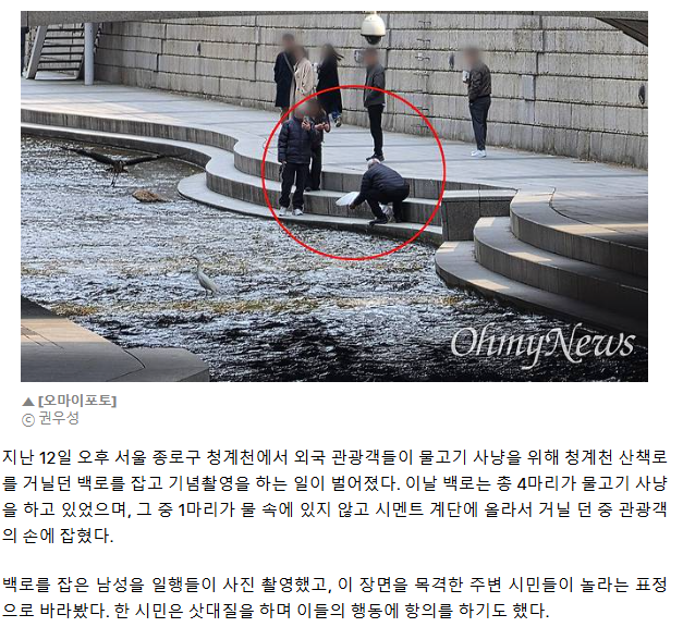 [마플] 중국인 관광객들 청계천에서 이런짓도 했었구나ㄷㄷ | 인스티즈