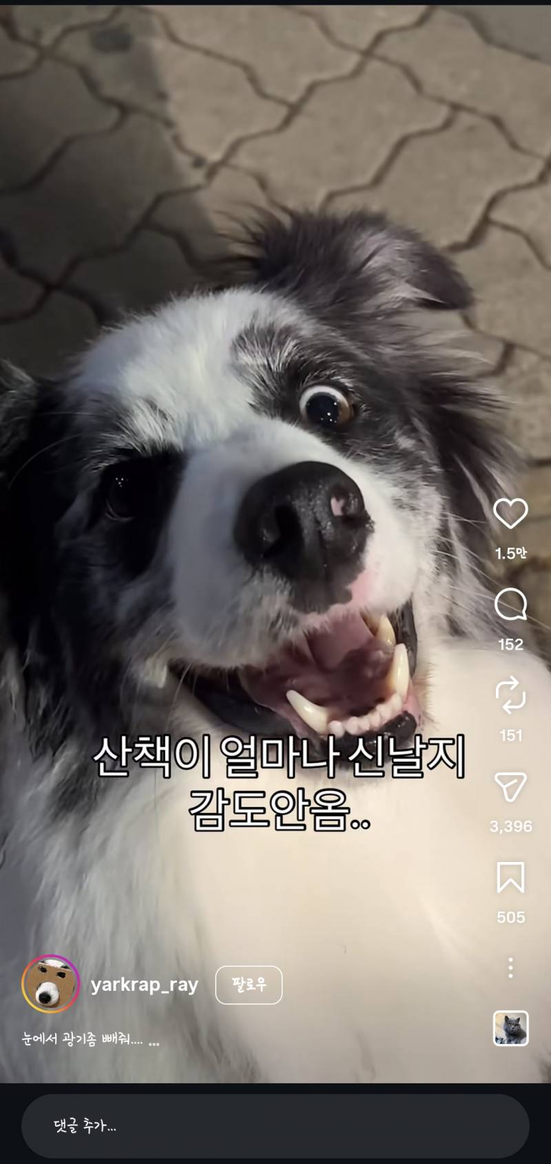 [잡담] 진짜 광기가 이런거구나 | 인스티즈