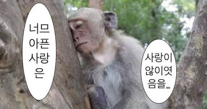 [잡담] 대군부인) 마지막 희주랑 완이 보면서 진짜 미쳐버리겠는게 | 인스티즈
