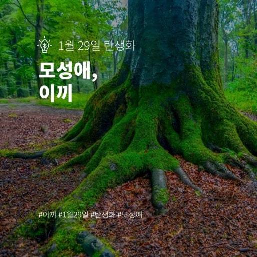 [잡담] 내 탄생화 개못생김 개밤티임ㄹㅇ로 나 따라갈 사람 없어 | 인스티즈