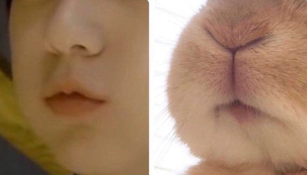 [잡담] 툽 수빈 이 짤은 진짜 탐라에서 볼 때마다 신기함ㅋㅋㅋㅋㅋ | 인스티즈