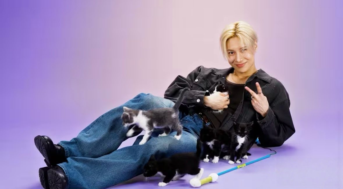 [정보/소식] 태민 인터뷰 BuzzFeed Celeb TAEMIN: The Kitten | 인스티즈