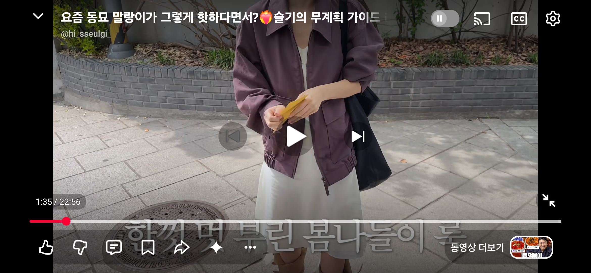 [잡담] 레드벨벳 슬기 팬 있어? | 인스티즈