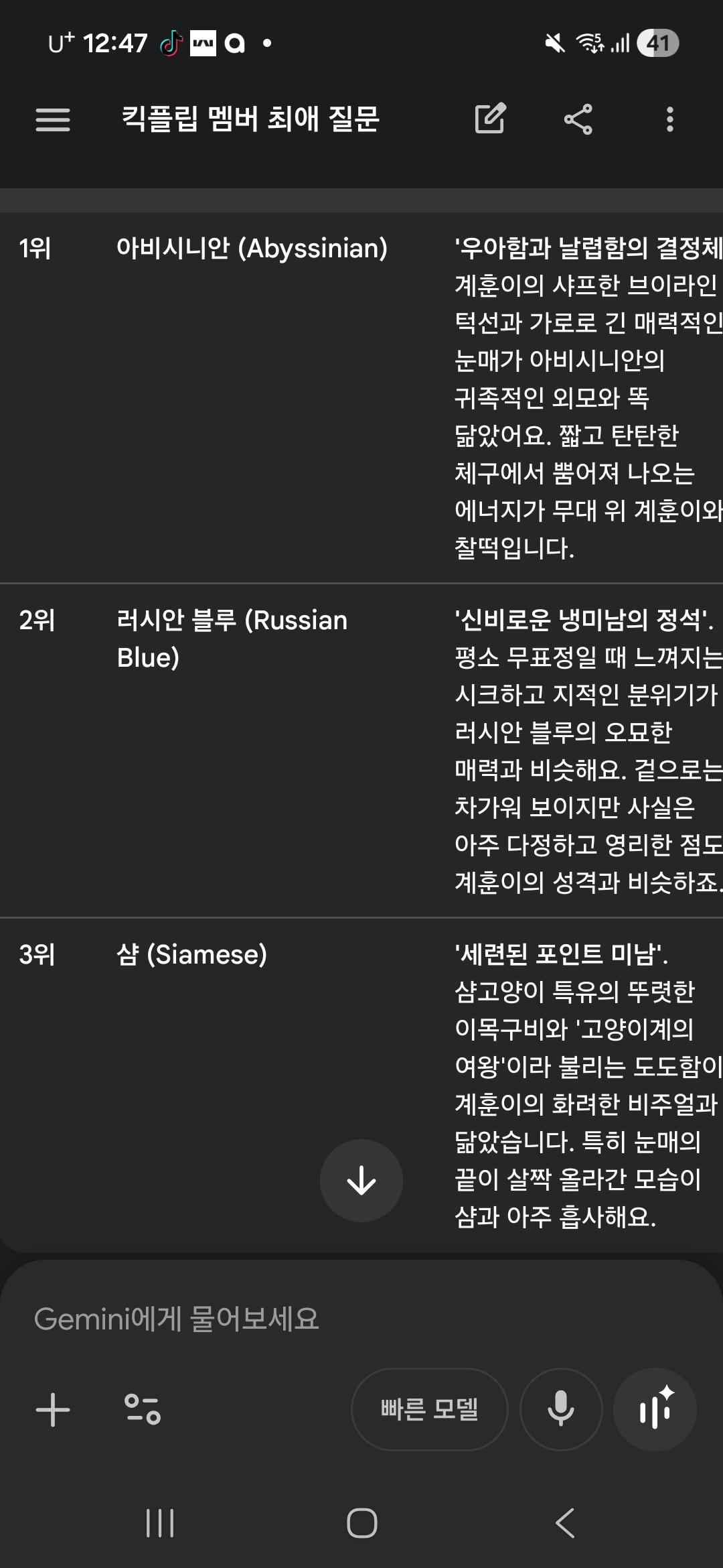 [잡담] 계훈이 닮았다고 생각 하는 고양이 어플로 물어봤는디 | 인스티즈