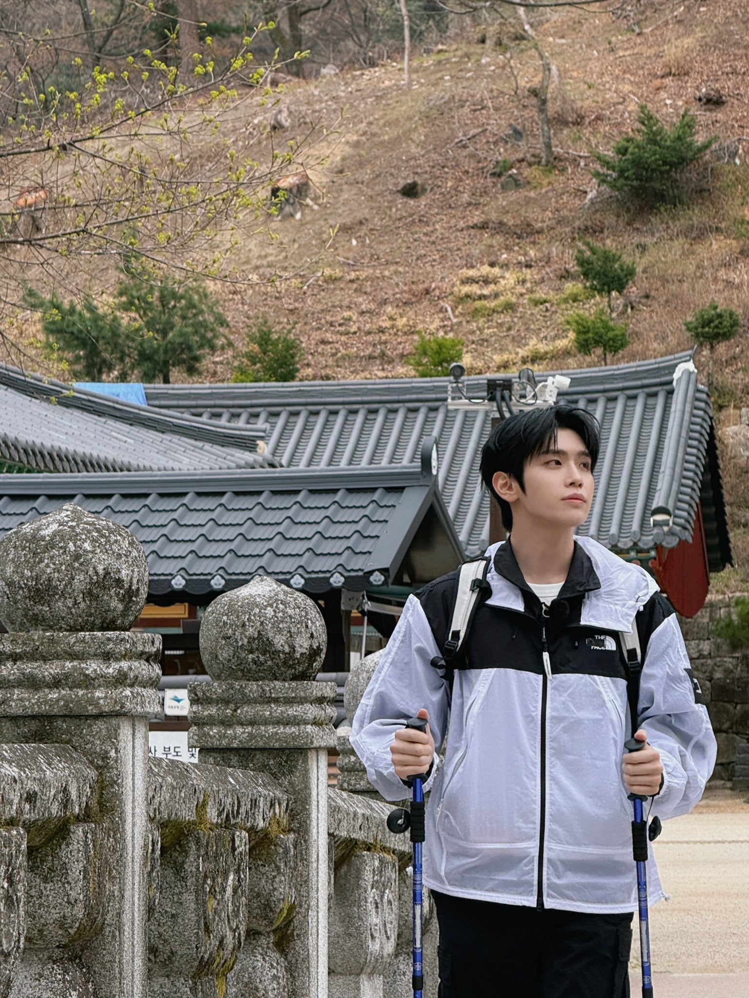[잡담] 태래 등산 사진 되게 모델 처럼 나왔다 | 인스티즈