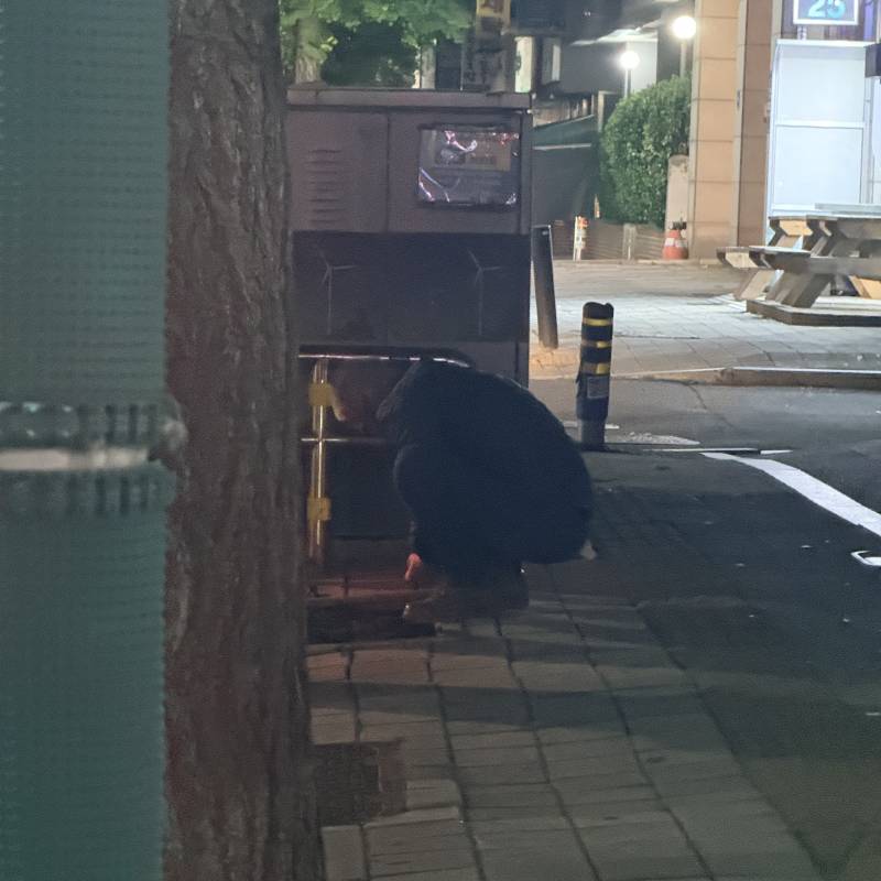[잡담] 어떤 할아버지가 길거리 나무 파헤치는데 | 인스티즈