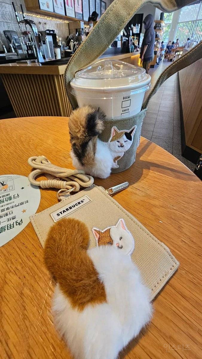 대만 스타벅스 고양이 컵홀더 신상 나온 거 봄?.twt | 인스티즈