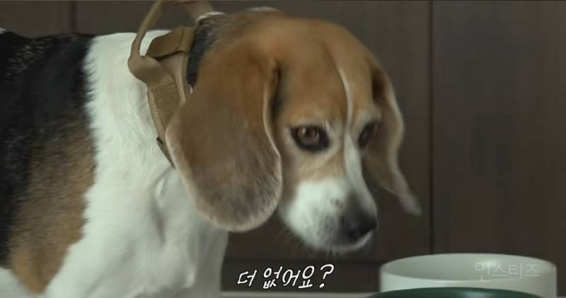 반려견 구리 간식 뺏어먹는 이창섭 ㅋㅋㅋ.jpg | 인스티즈