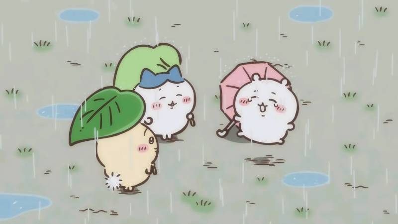 [잡담] 장마철이 머지않았군 ☂️ | 인스티즈