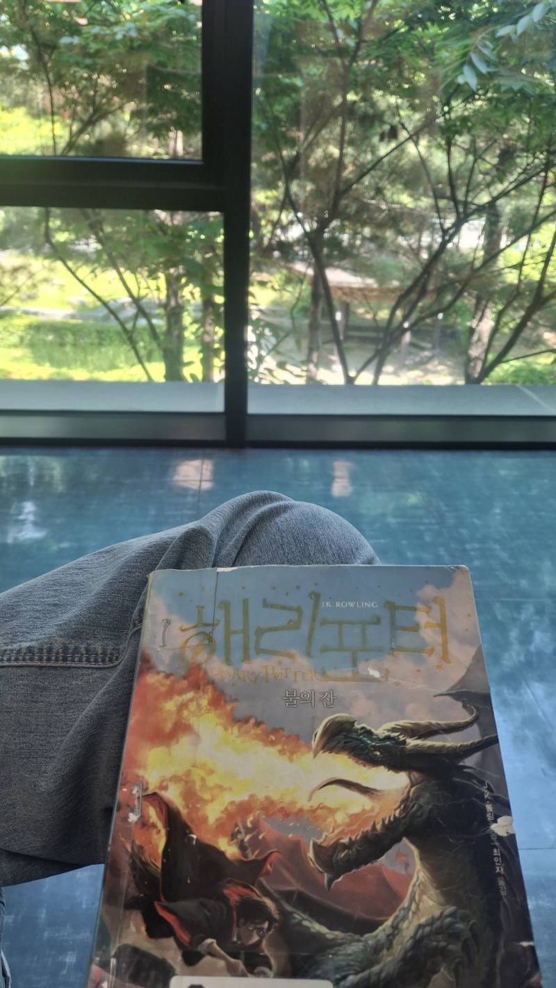 [잡담] 도서관에서 해리포터 보는 중 | 인스티즈