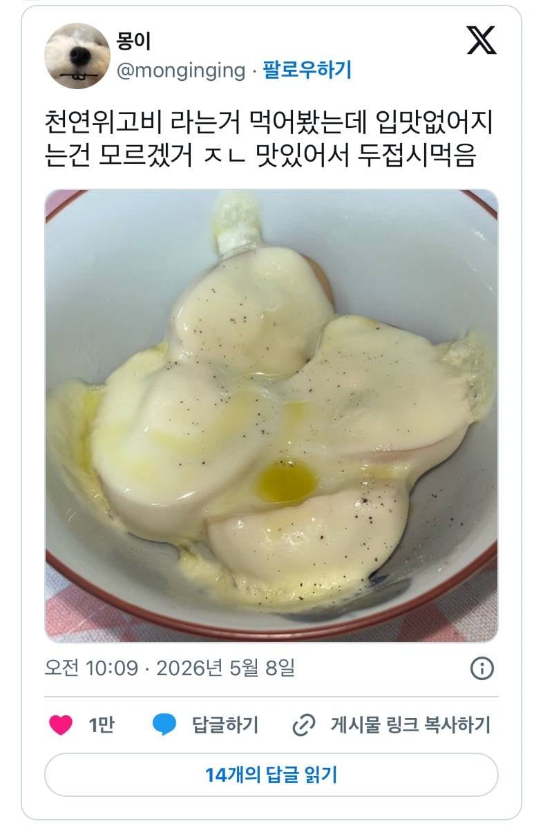 현재 𝒥ℴ𝓃𝓃𝒶 진화중인 천연 위고비..JPG | 인스티즈