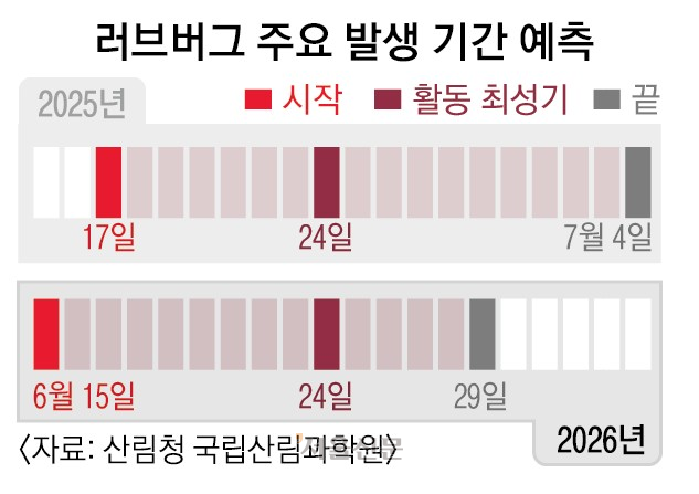 [정보/소식] [단독] 러브버그 올해 더 빨리 온다•••수도권 6월 중순 '기승' 전망 | 인스티즈