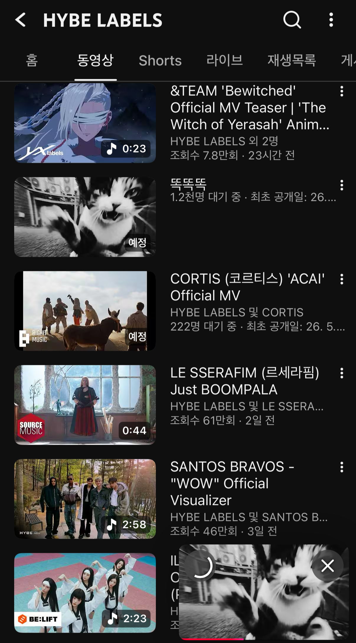 [잡담] 보넥도 진짜 독보적인 어그로다 | 인스티즈