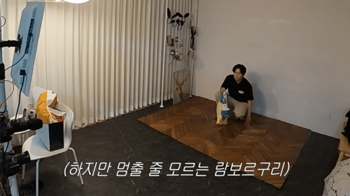 난이도 역대급이라는 비글이랑 사진찍기...JPG | 인스티즈