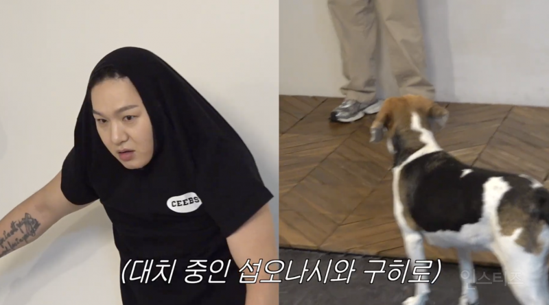난이도 역대급이라는 비글이랑 사진찍기...JPG | 인스티즈