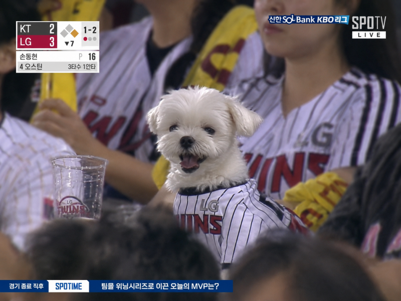 [잡담] 야구중계ai 나도 해봄ㅋㅋㅋㅋ | 인스티즈