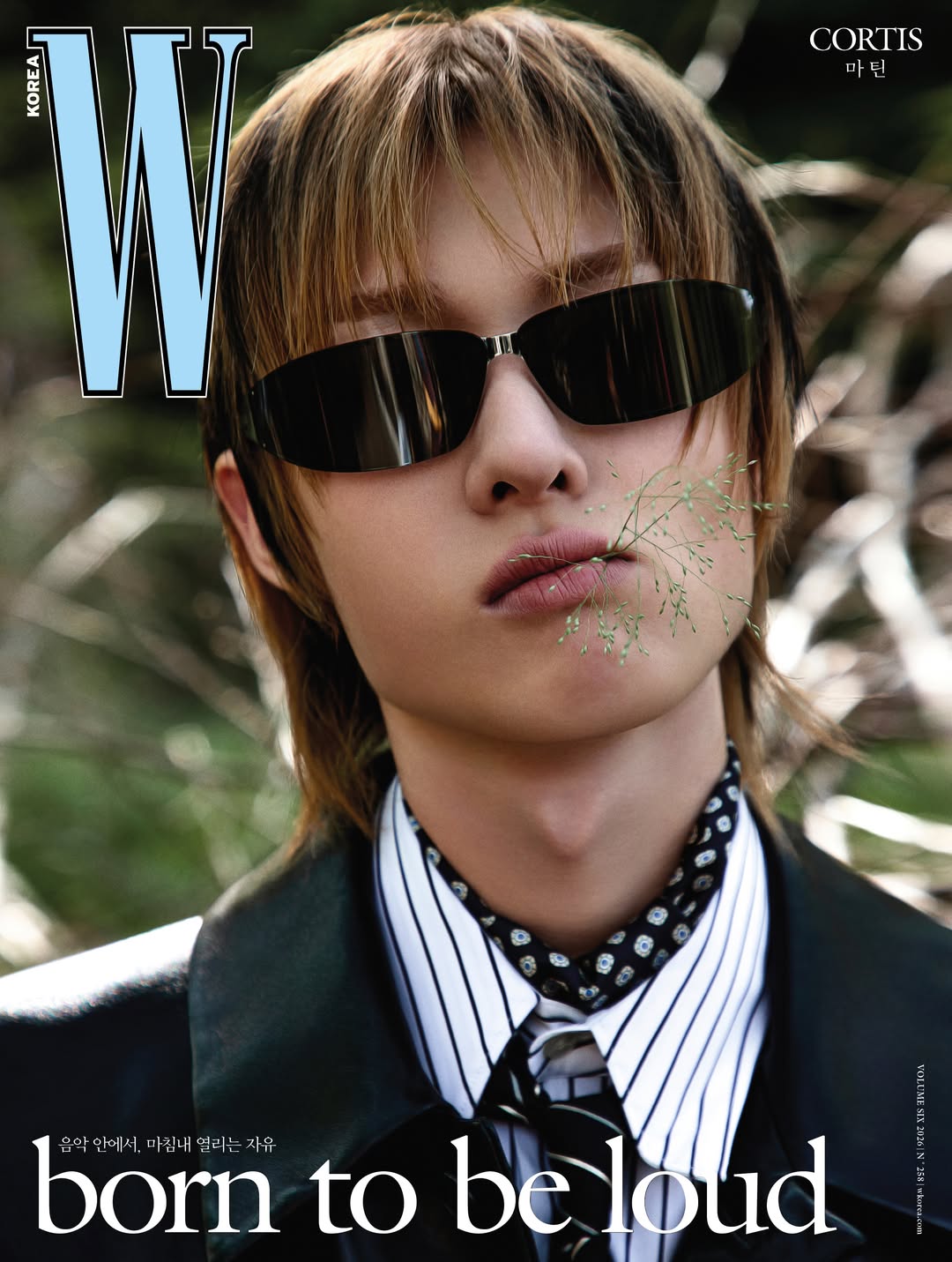 [잡담] 코르티스 Wkorea 전멤버 커버 모음 | 인스티즈