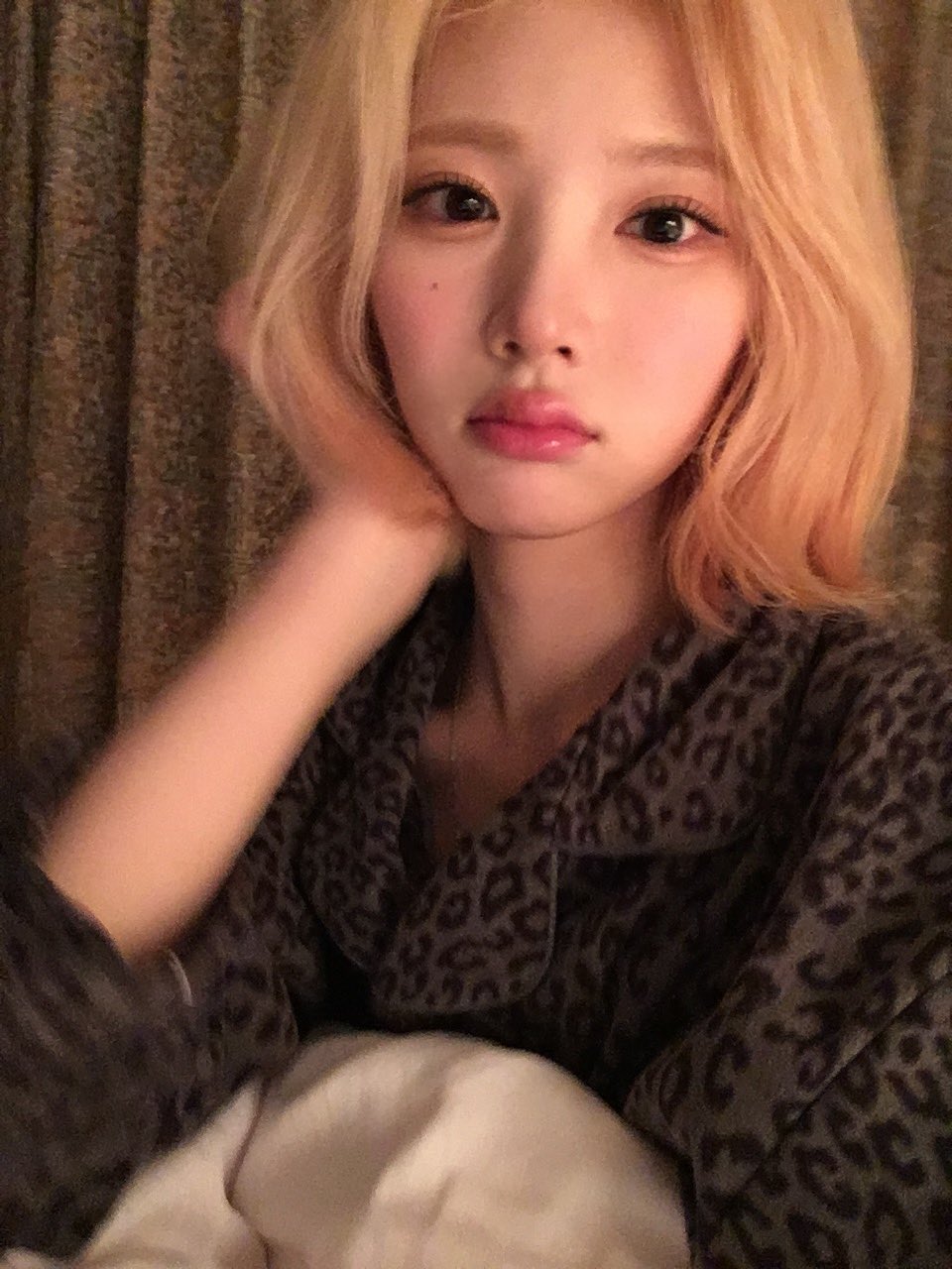 [잡담] 하투하 지우 금발 진짜더라이같다..p | 인스티즈