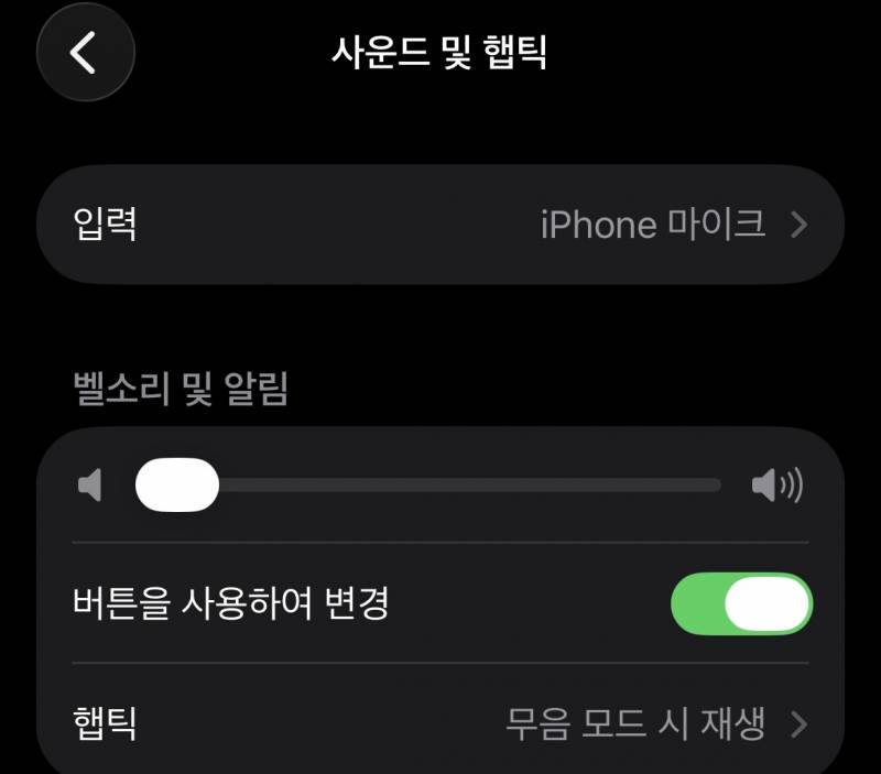 [잡담] 아이폰 이거 볼륨버튼 고장난거야?? | 인스티즈