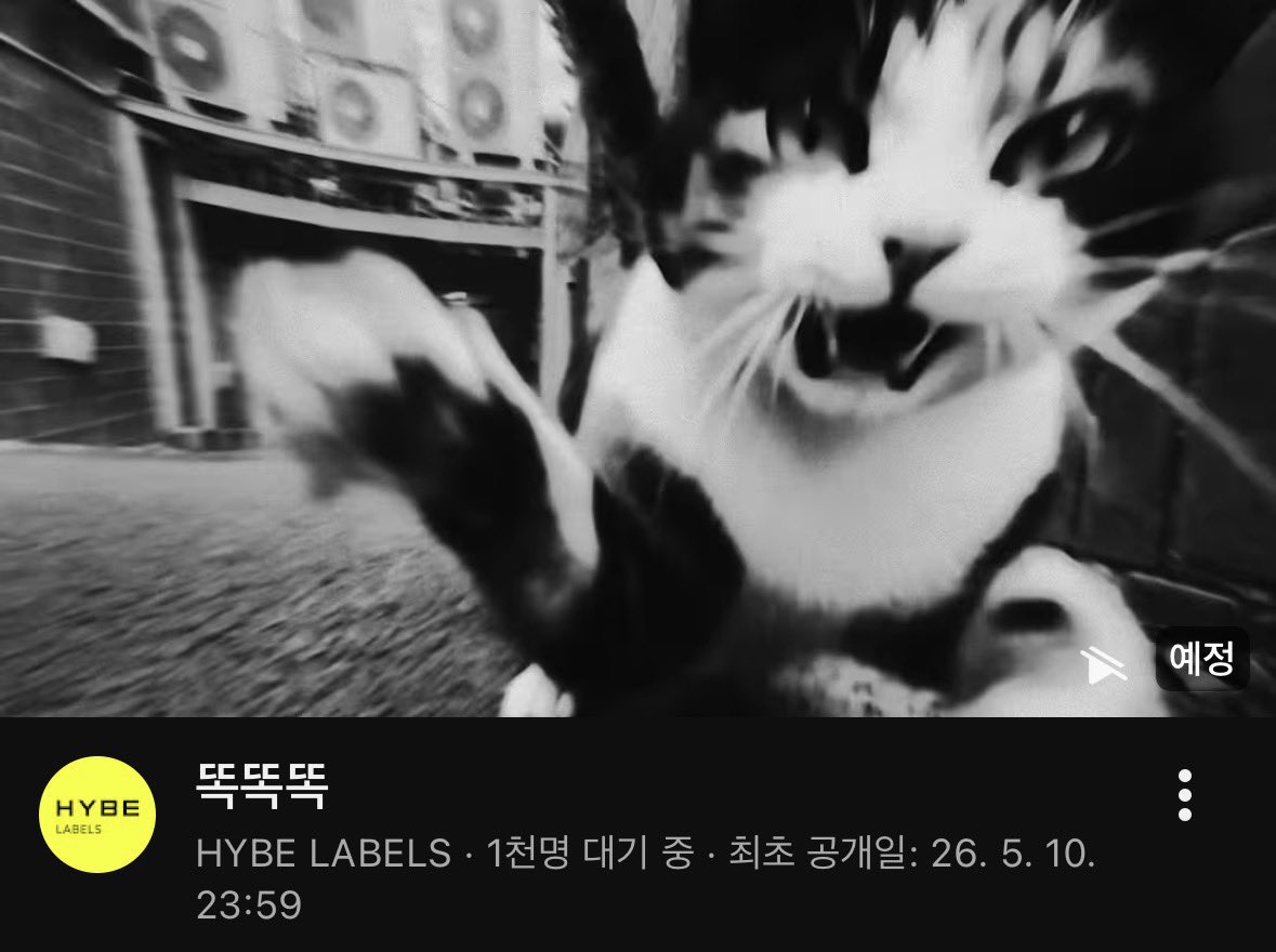 [잡담] 아니 보넥도 갑자기 뜬게 이거였다니까 | 인스티즈