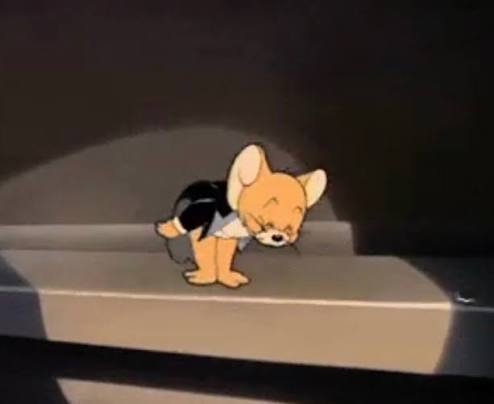 [잡담] 요즘 제가 키우는 강아지 입니다 | 인스티즈