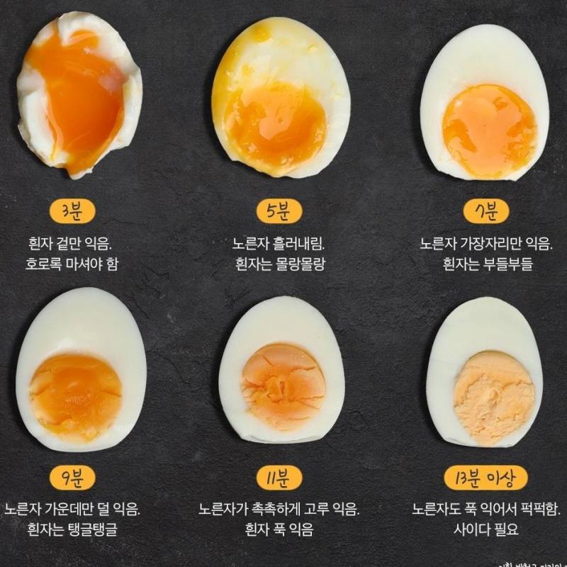 [잡담] 익들은 삶은 계란 어느정도가 좋아? | 인스티즈