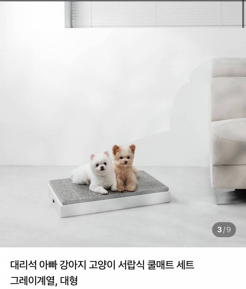 [잡담] 반려동물 키우는 익들아 이거 한번만 골라주고 가줘🐾 | 인스티즈