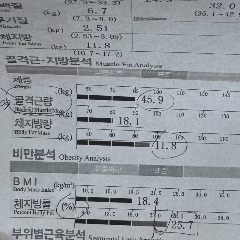 [잡담] 골격근량 어떻게 키워 … | 인스티즈