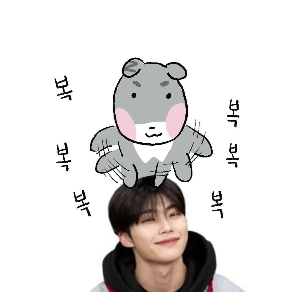 [잡담] 제베원 셜록한거 박건욱 의견이라고? | 인스티즈
