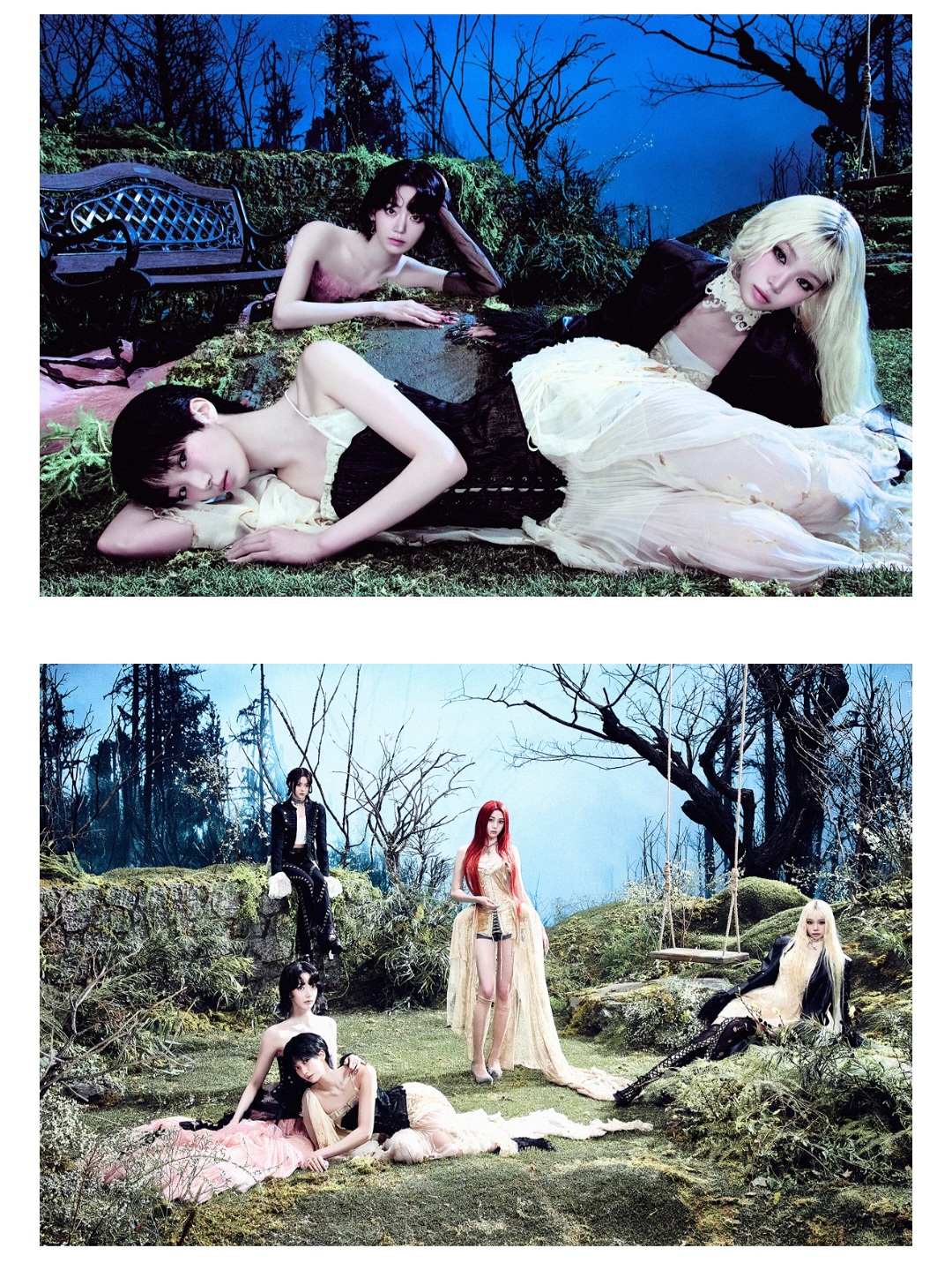 [정보/소식] LE SSERAFIM (르세라핌) 정규 2집 컨셉포토- BIRCH SCAR | 인스티즈